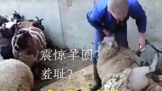 Disarankan untuk berubah menjadi: bokong Aries