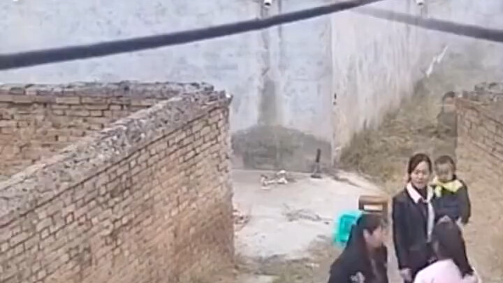 Một bông hoa hồng gây ra