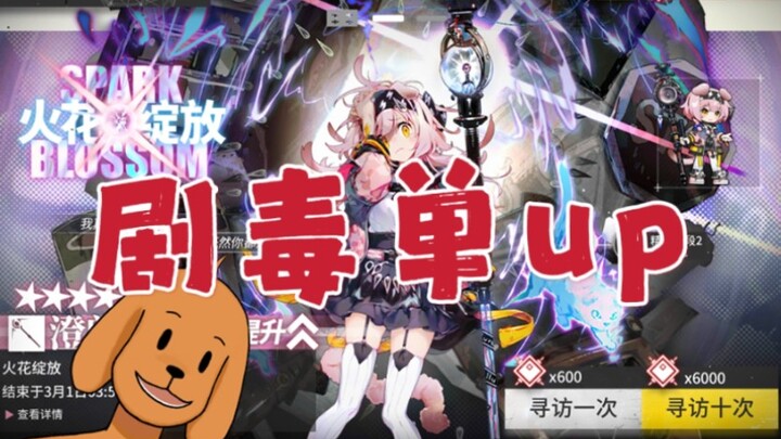 แฟนพันธุ์แท้ขนยาวของหมาเหลืองคนที่ 10 จ่าย 648 หยวน