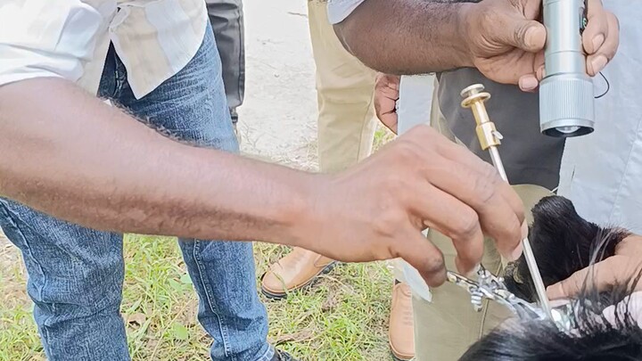 ছাগলের কৃত্রিম প্রজনন ট্রেনিং