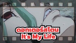 ดอกเตอร์สโตน|[AMV]It's My Life