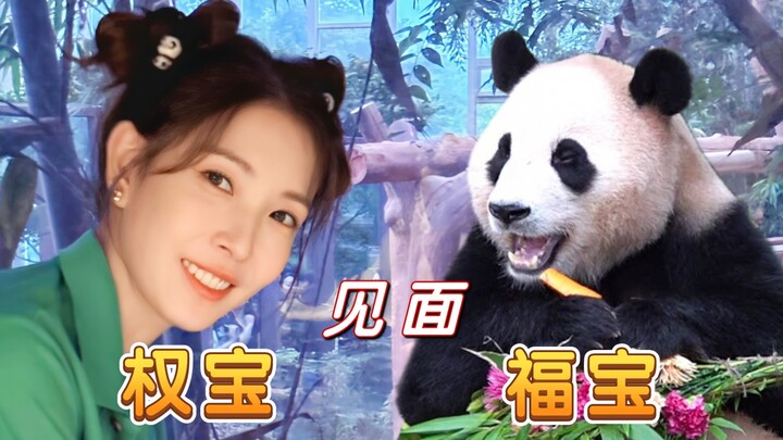【BoA】BoA finally succeeded in being a fan! She even became Fu Bao’s one-day manager~