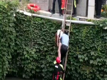 At 6 a.m. on the 30th, a young woman jumped into the river from the Nantong South Street Bridge. Wha