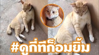 ครั้งแรกเห็นขึ้นเปล ฮาขำน่ารักมาก แมวฟินจอมซน #ดูกี่ทีก็อมยิ้ม