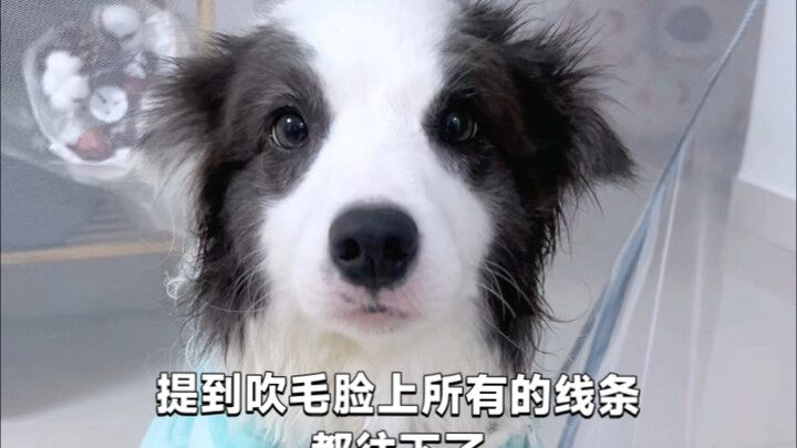 The voice-controlled flying ears are back again, poor thing.