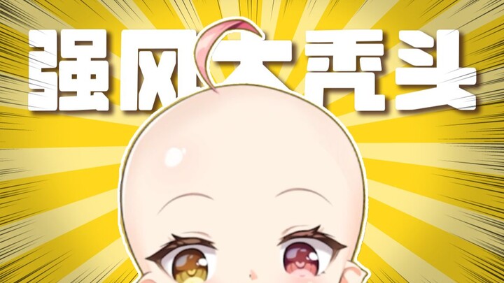 ⚠️Strong Wind, Big Bald Spot⚠️