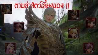 ตามล่าสัตว์เลี้ยงสีแดง หายากยิ่งกว่างมเข็มในมหาสมุทร Seven Knights 2