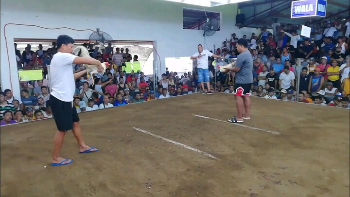 KingVonGamefarm 👑