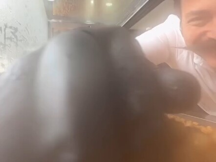 Here comes the bundled rice bowl!