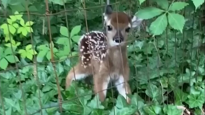 I’m at a loss for words… slurp, slurp, slurp~