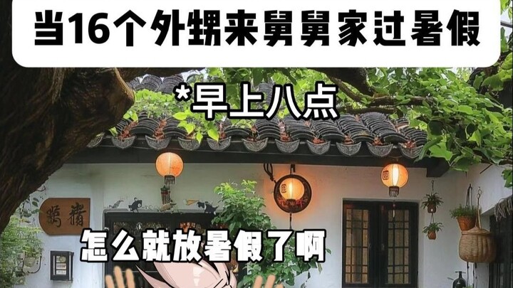 Khi 16 đứa cháu trai đến nhà cậu vào kỳ nghỉ hè