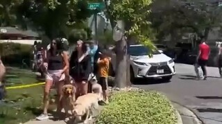 To surprise his dog-loving grandfather with a birthday treat, a foreign netizen posted online, invit