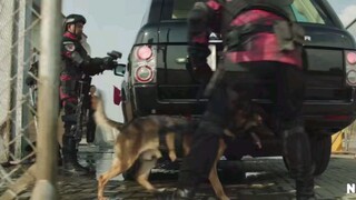 Foxtrot_Six_480P.mp4