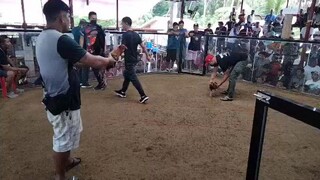 Red - galing ng cutting