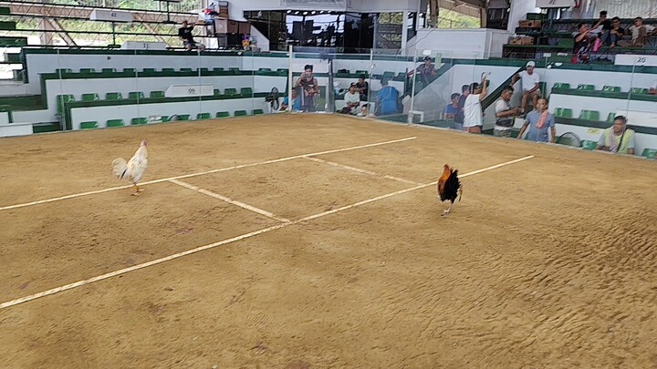 No scratch (sweater)