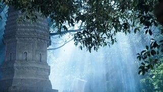 &{เต็มเรื่อง}แม่เลี้ยงเดี่ยวแต่งงานกับขอทาน แต่กลับพบว่าเขากลายจักพรรดิ