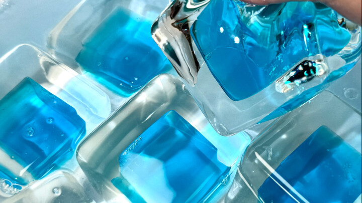 Main Bag: A Story About Rescuing a Dog