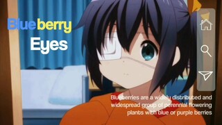 chuunibyou demo koi ga shitai! | Blueberry eyes