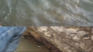 Fishing in Nepal | A Bizarre Fishing Technique in Nepal |
