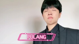 PULANG
