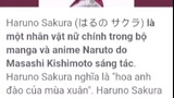 Haruno Sakura nữ chính trong naruto