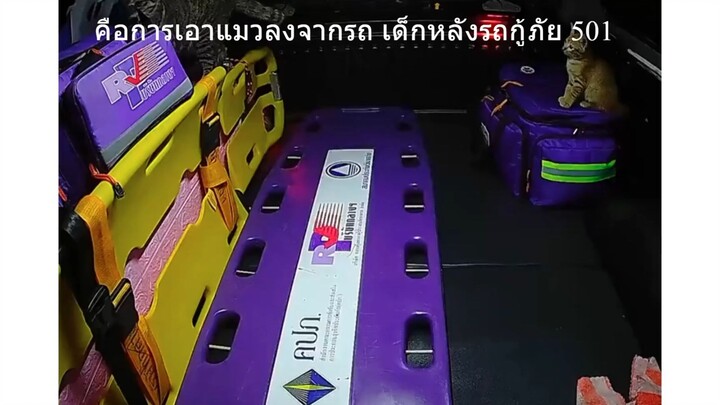 คือการเอาแมวลงจากรถ เด็กหลังรถกู้ภัย 501