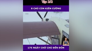 Trả lời   xuhuong khophimngontinh phimngontinh mereviewphim phimtrungquoc daophimtrung fyp fypシ foryou reviewphim#reviewphimhay#muataitiktok#ongtrumphimd