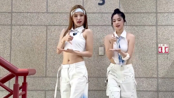 《CAKE》1.5倍速挑战！