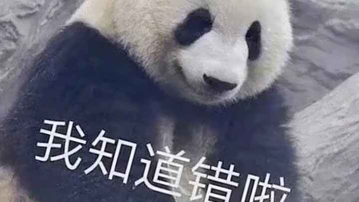 مينغلان تأكل البامبو في منتصف الليل، لا عجب أنك أنت يا ابن الإمبراطور الثالث من سيخومين!