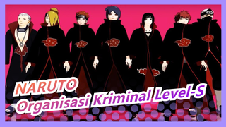 NARUTO
S-level Criminal Organization