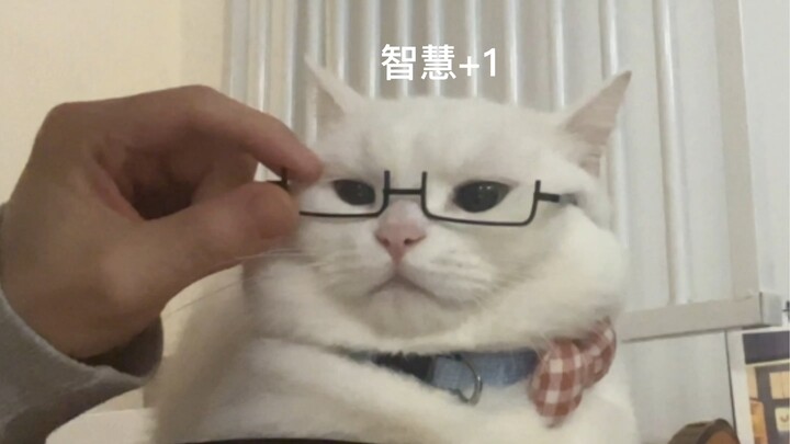 Hóa ra chỉ cần đeo một cặp kính là trông sẽ thông minh hơn đấy