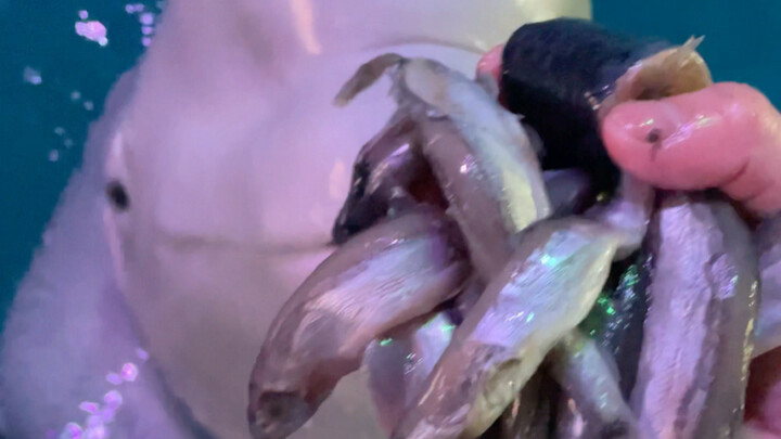 Makan dengan sangat nikmat