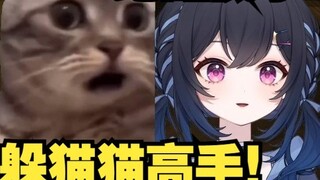 Cat MEME way to open MC hide and seek