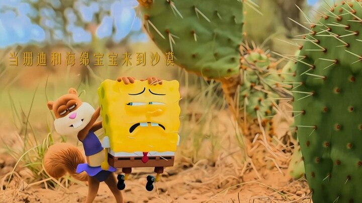 珊迪和海绵宝宝太可爱了吧！