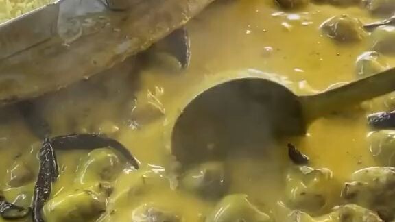 gulai india lejat dan bergiji