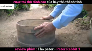 Tóm tắt phim Thỏ Peter 1 phần 1 #phimhayreview