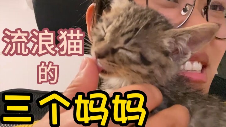 Aku tidak akan membiarkanmu tanpa seorang ibu.