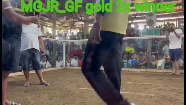 2x winner MGJR_GF gold