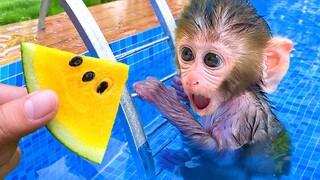 Monkey Baby Bon Bon takes a bath in the bathtub and eats yellow watermelon with the puppy