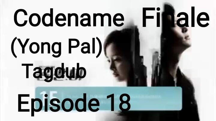 Codename Yong Pal Tagalog Dub Episode 18 Finale