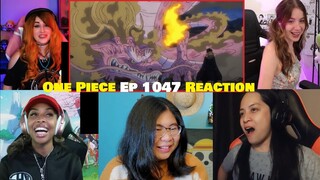 Momo Big Dragon Form !! One Piece 1047 Reaction