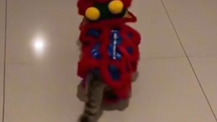 Cute Little Cat Dresses as Chinese Dragon