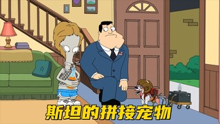 美国老爹：斯坦的爱太痛苦 普通宠物根本承受不了