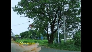 Adarna-Full Episode 48