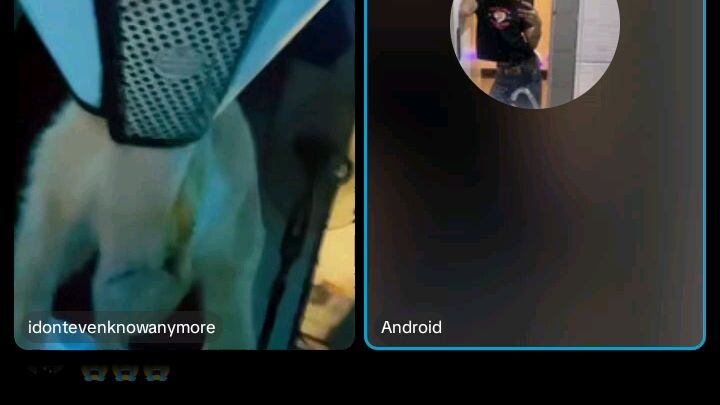 mga halatang pusa 😻