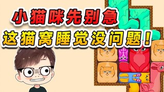 小猫咪你们先别急，虽然这猫窝有点挤，但睡个觉没问题！