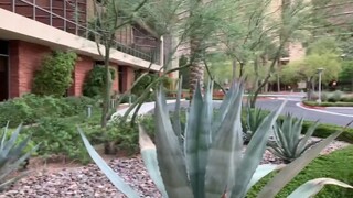 Red Rock Hotel and casino  Las Vegas Nevada