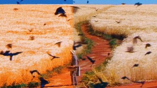 “Con cáo sống ở cuối cầu vồng” thẩm mỹ trong mơ của một thế hệ bậc thầy