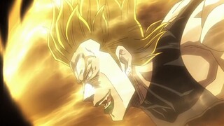 "I, Lord DIO, also have a lonely hero! Who said that those who stand in the light are heroes!"