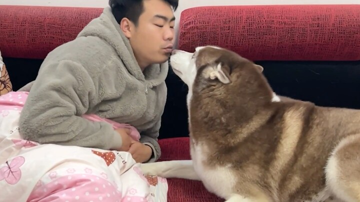 Khi bạn cố hôn chú cún một cái, cười chết mất, chẳng thể nào hôn trúng được!